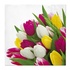 Papírenské zboží - Szalvéták PAW L 33x33 cm Bunch of Tulips